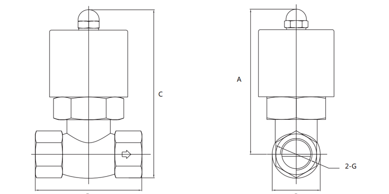 2L-500 Solenoid Valve