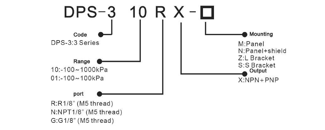 DPS-3 Without Analog output