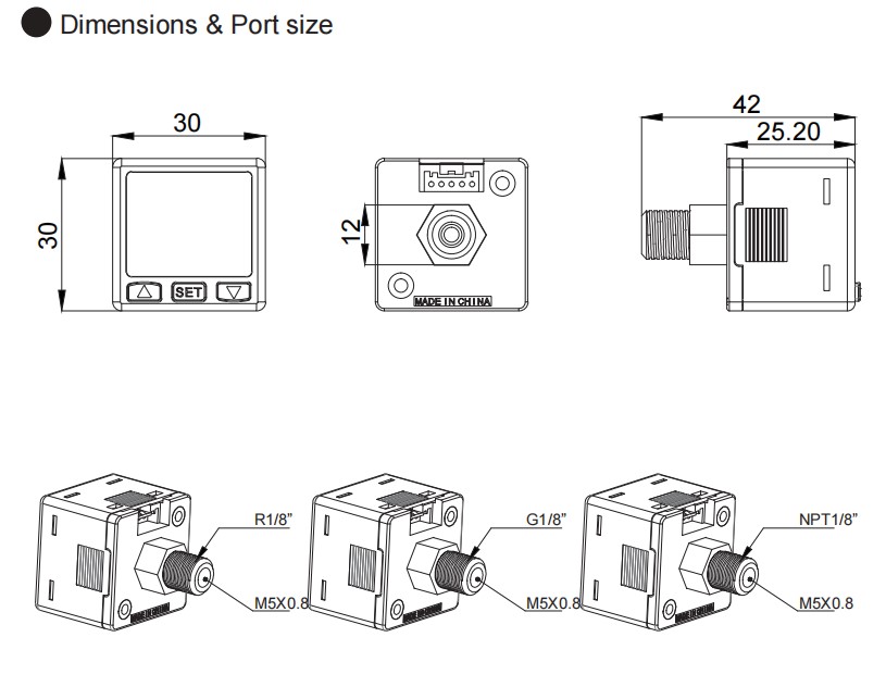 DPS-8 Digital Pressure Switch