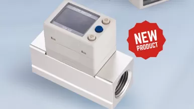 DSF SERIESSMART FLOW METER